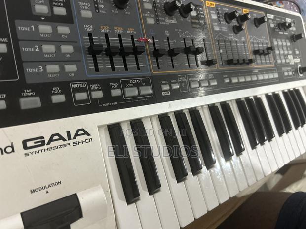 Roland Gaia Sh-01 · Photo 5