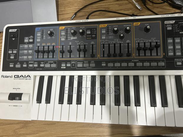 Roland Gaia Sh-01 · Photo 1