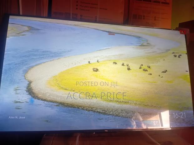 World's Pride Tcl55 · Photo 1