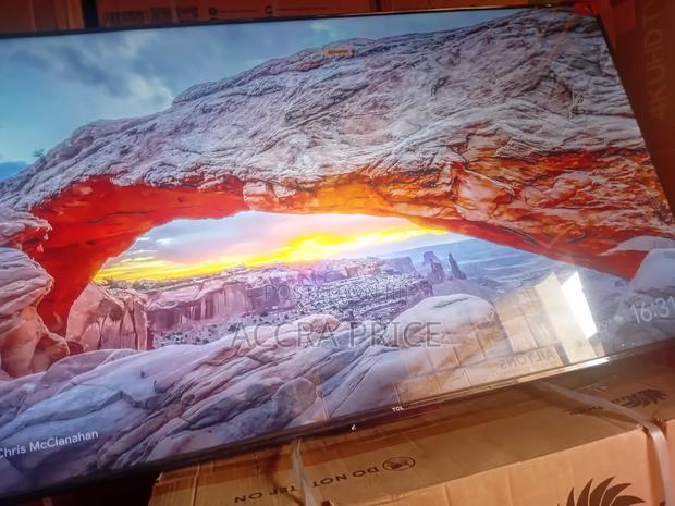 Big Daddy Choice Tcl55 · Photo 2
