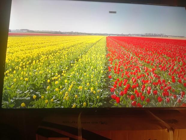 Simple Cost in Living Tcl55 · Photo 1
