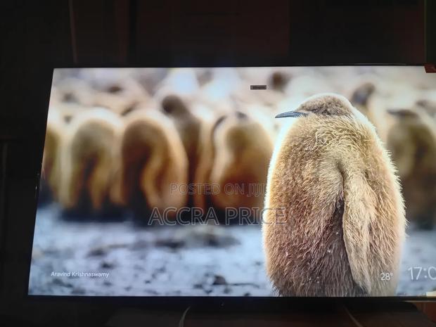 Star Mount Tcl55 · Photo 2