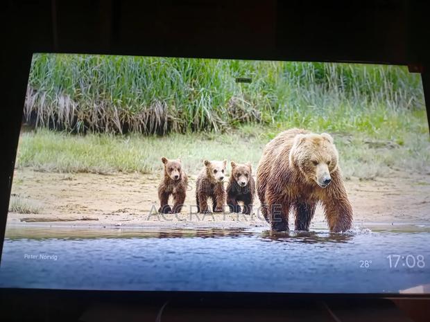 Non Tiring Brand Tcl55 · Photo 2