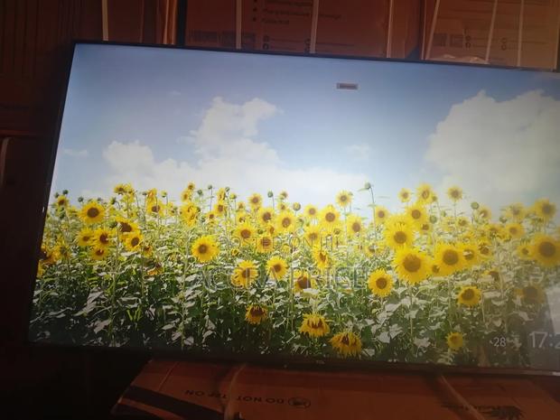 Smarter Crew Tcl55 · Photo 2