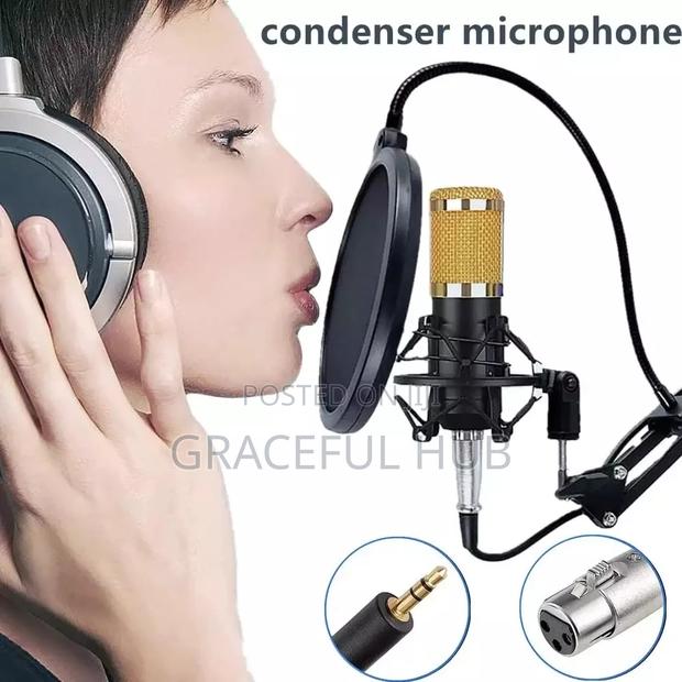 Condenser Microphone · Photo 2