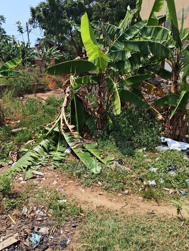 1 Plot for Sale Comm3 Close to 3 Gym Area · Photo 4