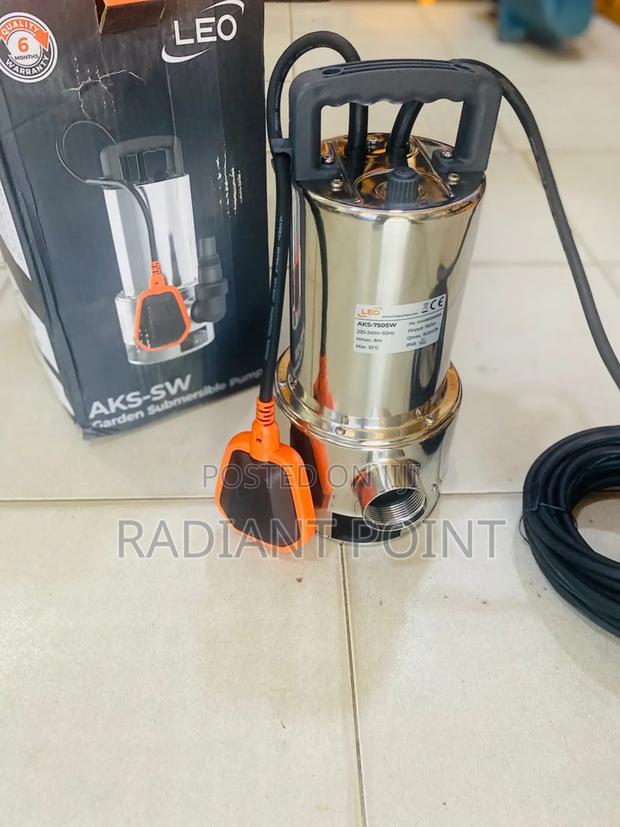 Leo Submersible Water Pump 1hp Stainless · Photo 1