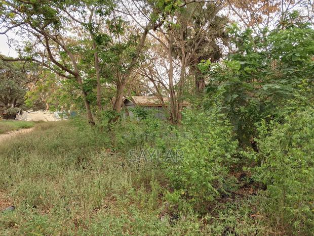 1 Acre Lentil Reach Building Uncompleted Structure for Sale Comm2 · Photo 4