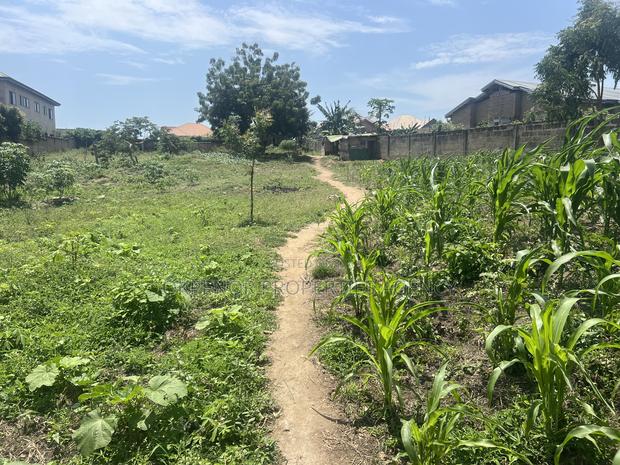2plots of Land for Sale at Kasoa · Photo 4