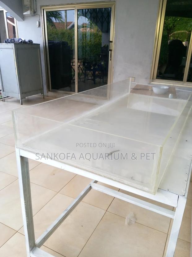 Aquarium Glass for Events Programs · Photo 2