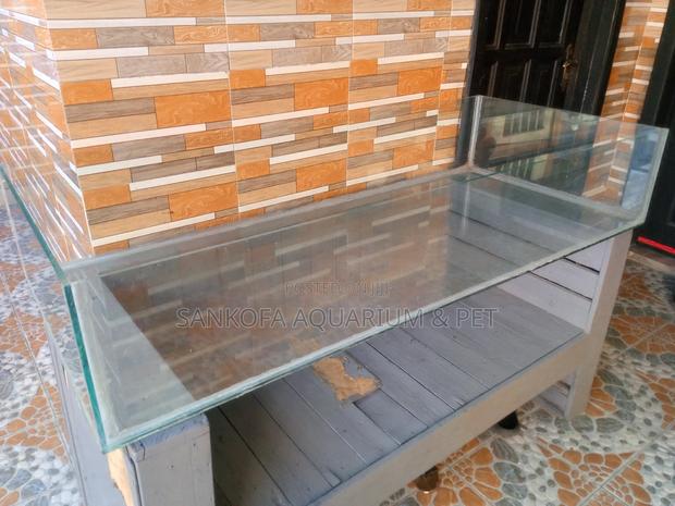 Aquarium Glass for Events Programs · Photo 3