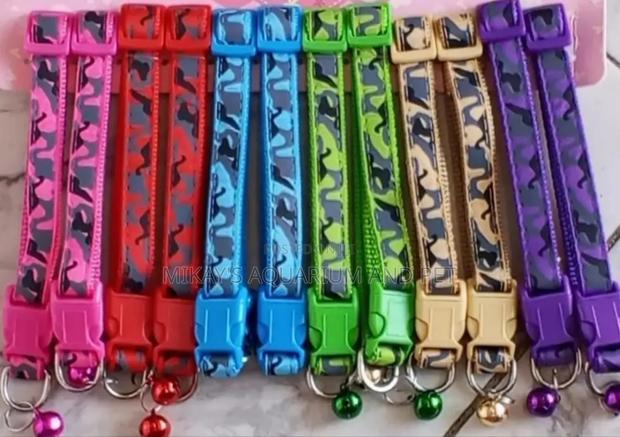 Dog Collars · Photo 1