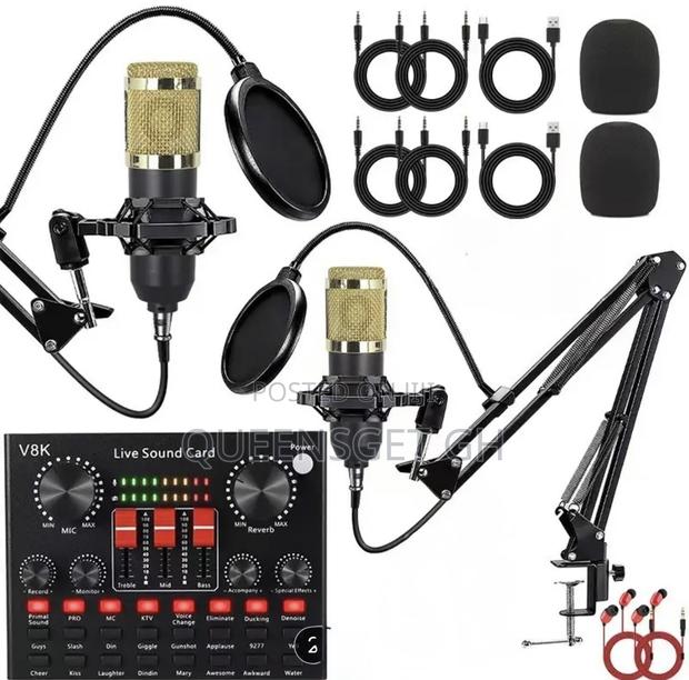 2 in 1 Double Professional Condenser Microphone · Photo 1
