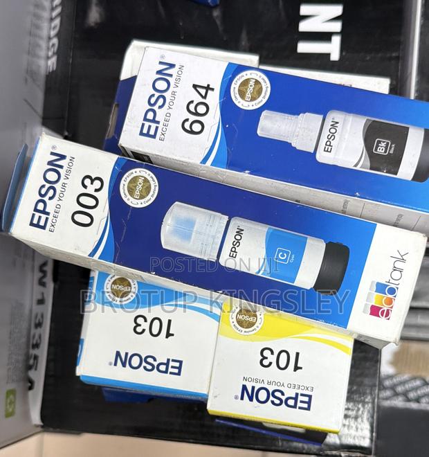 Epson 103 / 973 / 003 Inks · Photo 1