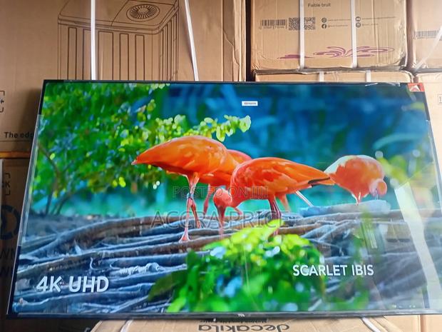 Beauty Empire With Tcl55 · Photo 1