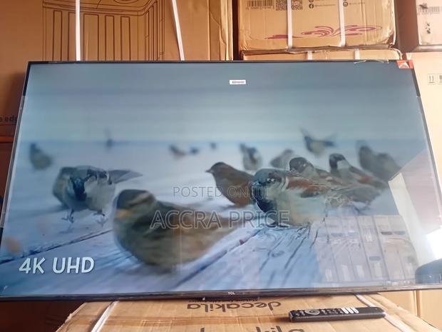 Lead On, Head Fix Tcl55 · Photo 2