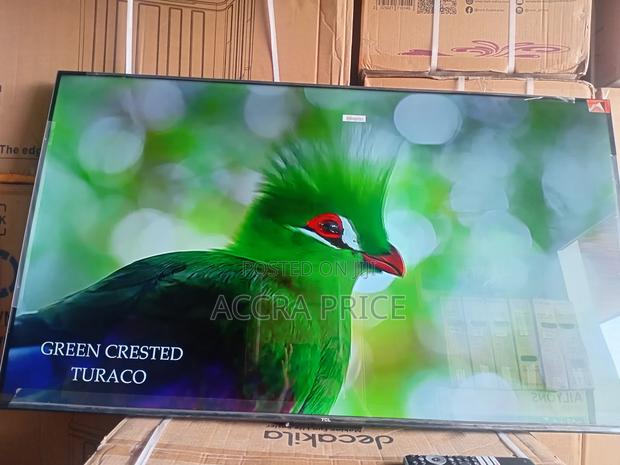 Picking the Best Out of the Rest With Tcl55 · Photo 2