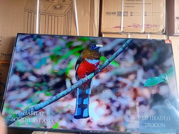 Live Memories in Dreams With Tcl55 · Photo 1