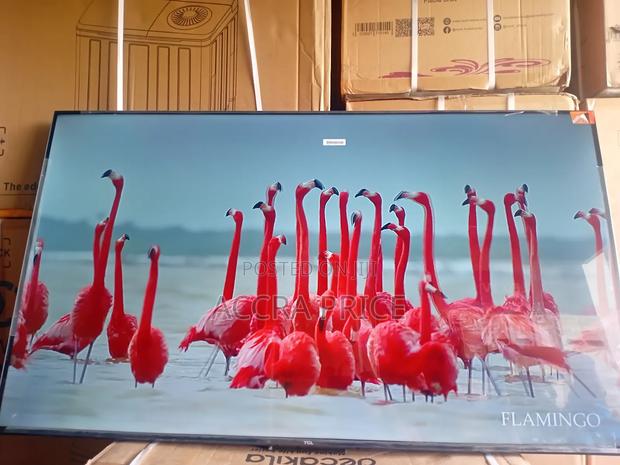 Lift the Dullness With Tcl55 · Photo 2