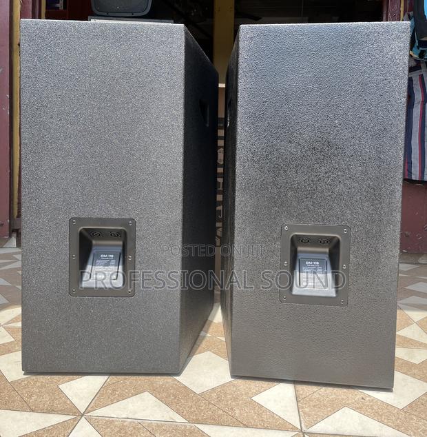 Evp Audio 15” Speaker · Photo 2