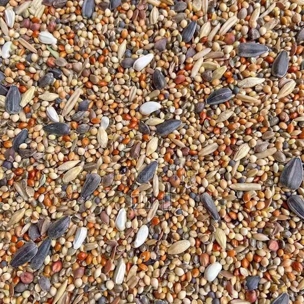Chinese Bird Food Is Delicious but Not Expensive
