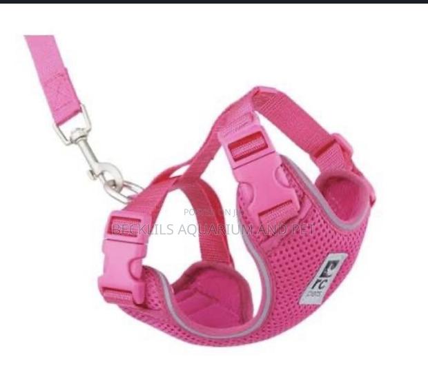 Pink Harness With Leash · Photo 3