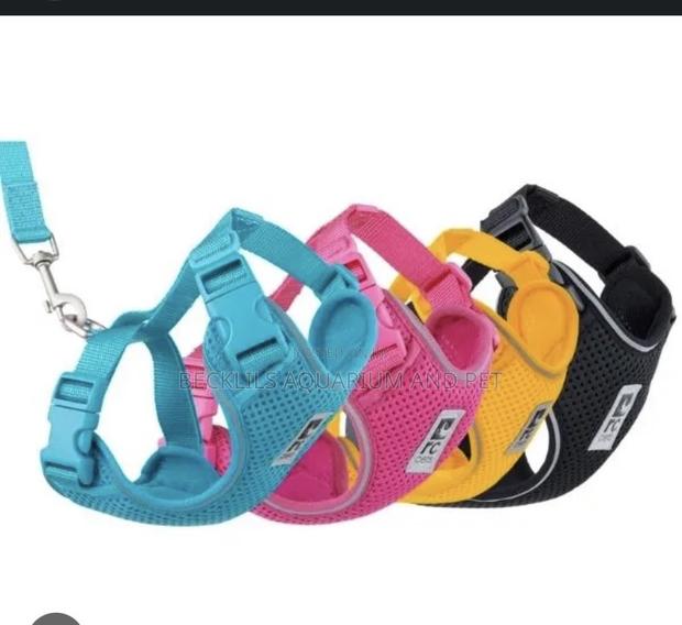 Pink Harness With Leash · Photo 5