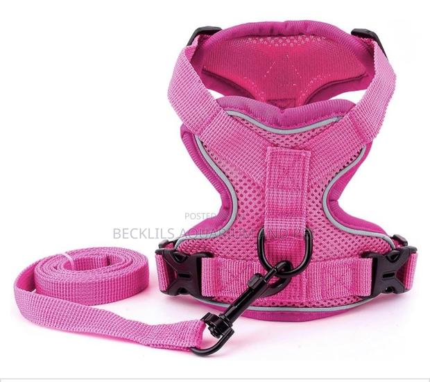Pink Harness With Leash · Photo 2