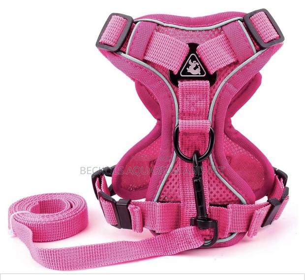 Pink Harness With Leash · Photo 1