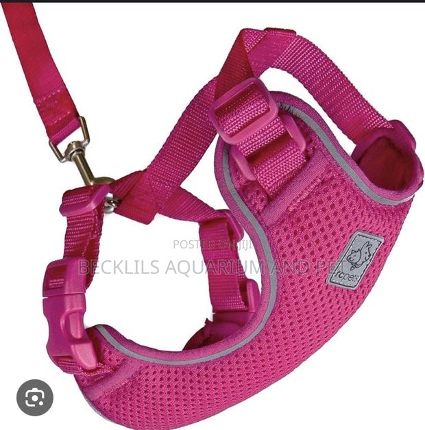 Pink Harness With Leash · Photo 4