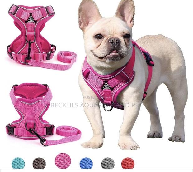 Grade a Quality Dog Harness · Photo 1