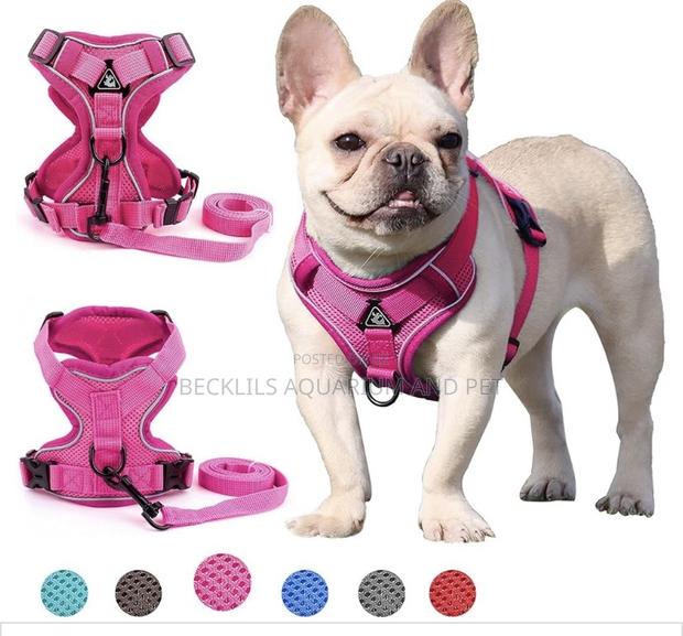 Grade a Quality Dog Harness · Photo 2