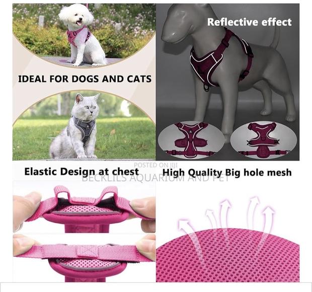 Grade a Quality Dog Harness · Photo 3
