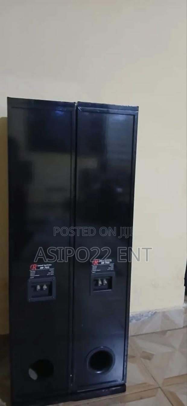 Ross or 703 Floor Standing Speaker · Photo 5
