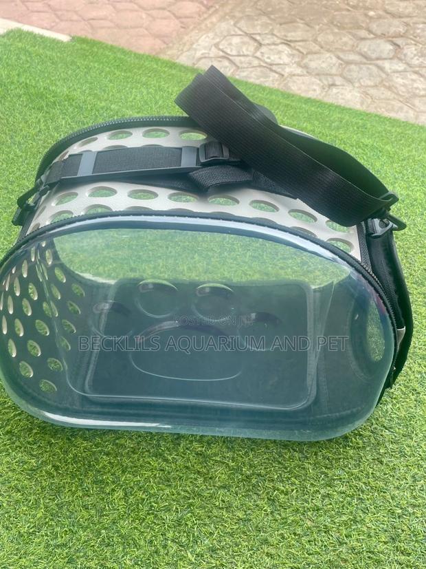 Plastic Ash Dog Carrier · Photo 3
