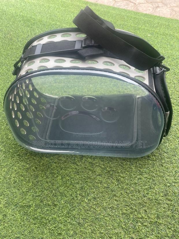 Plastic Ash Dog Carrier · Photo 2
