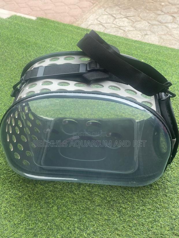 Plastic Ash Dog Carrier · Photo 1