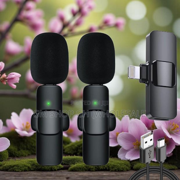 Portable 2 in 1 Wireless Microphone (35446) · Photo 1
