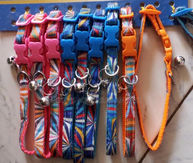Adjustable Collar for Dogs · Photo 1