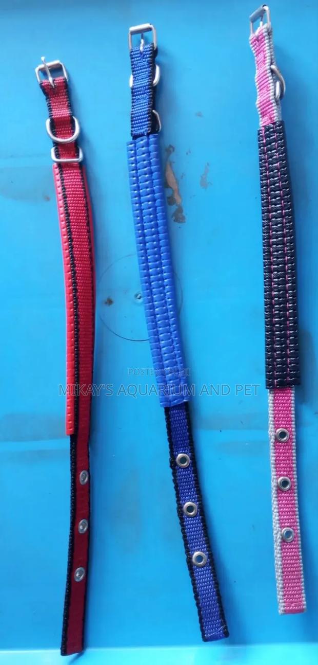 Collar for Big Dogs · Photo 1