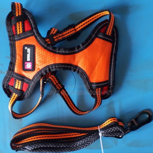 Leash With Harness for Dog · Photo 2