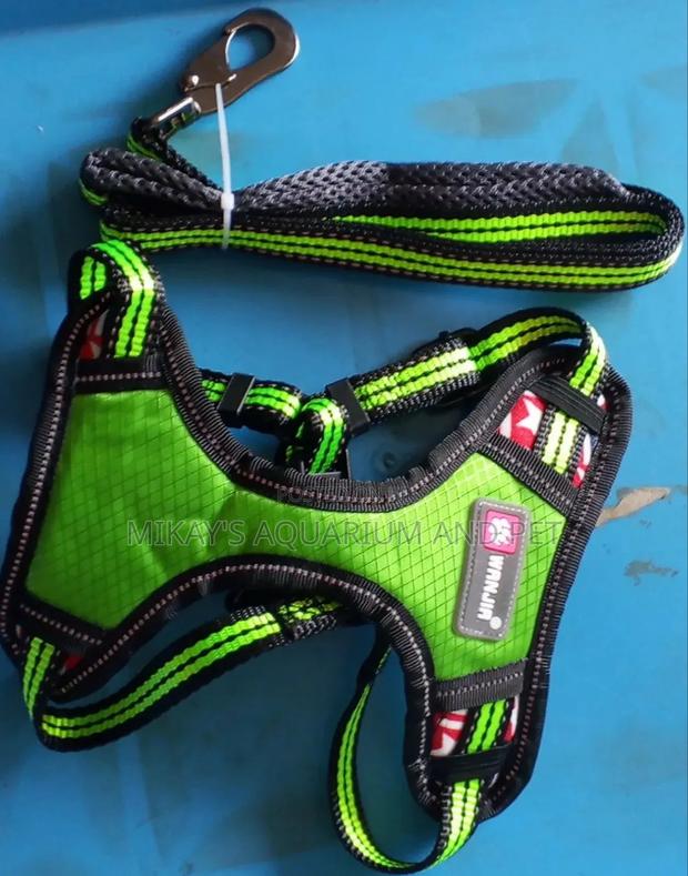 Leash With Harness for Dog · Photo 1