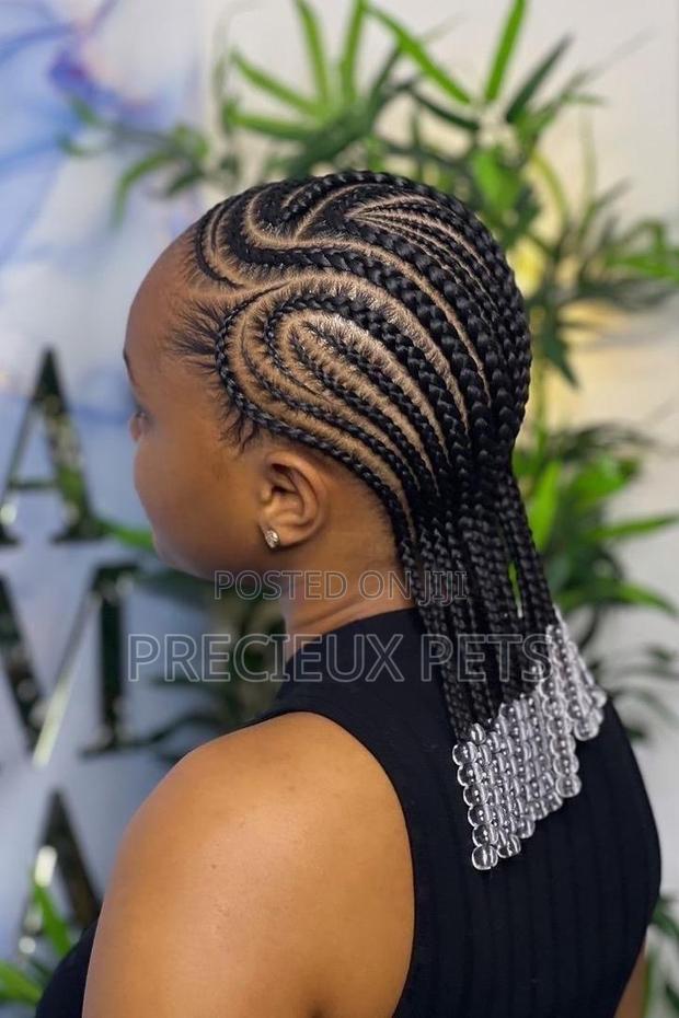 Braids Home Service · Photo 1