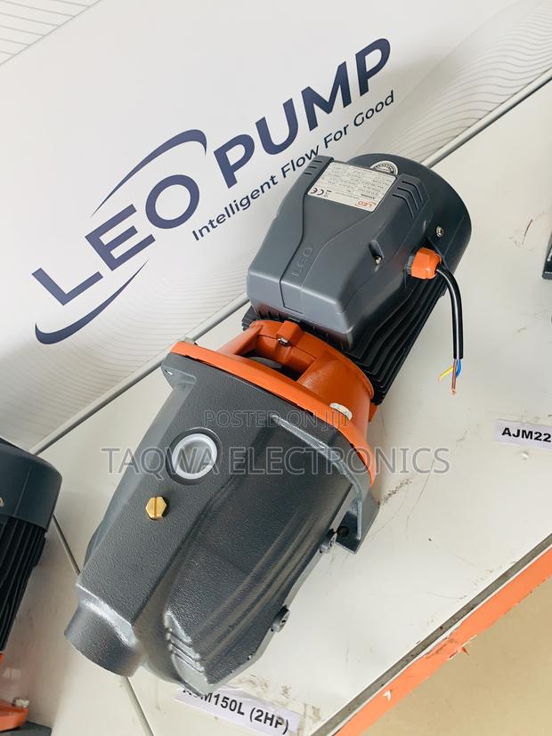 2-Hp Leo Cast Pump · Photo 1
