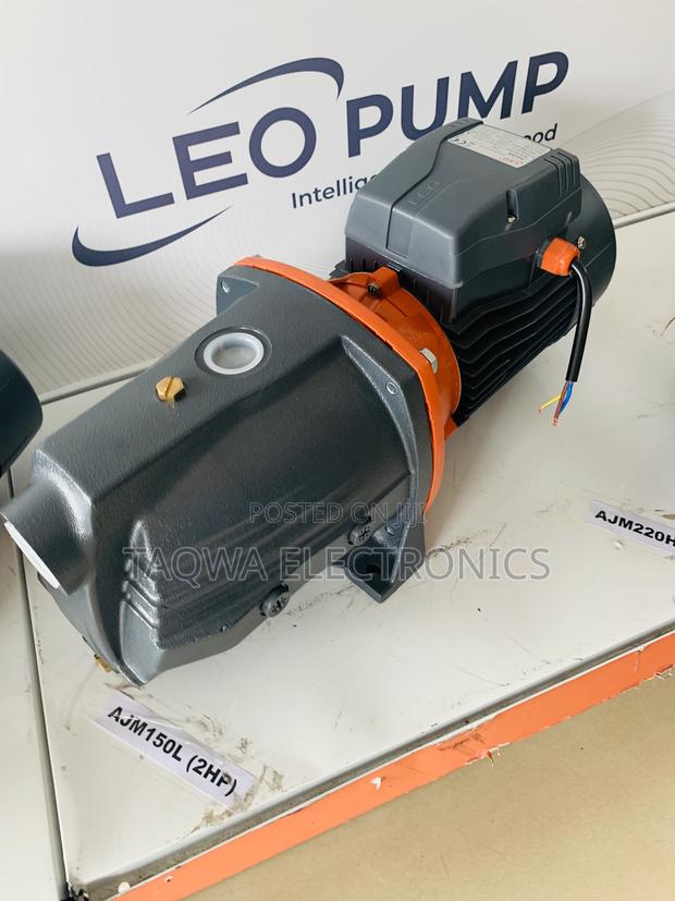 Domestic Leo 2hp Self Priming Pump · Photo 1