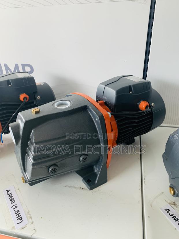 Leo Cast Ajm90 Series 1.5hp Cast Pump · Photo 1