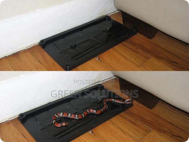 Mouse, Lizards, Snakes and Insect Trap · Photo 3
