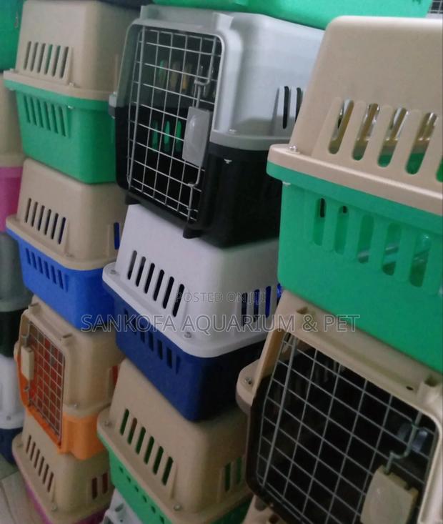 Pet Plastic Transporting Cages · Photo 1