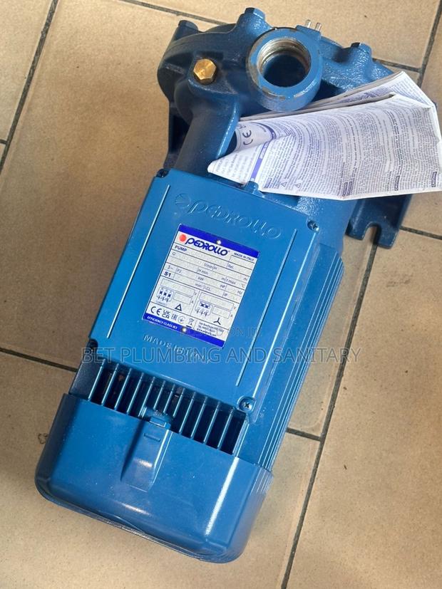 Italian Pedrollo 4hp Water Pump · Photo 2