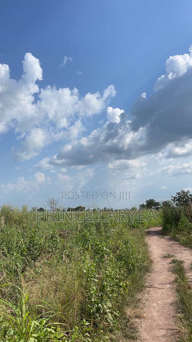 30 Acres Of Farmland For Sale · Photo 6